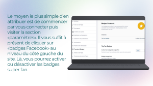 Badge Facebook