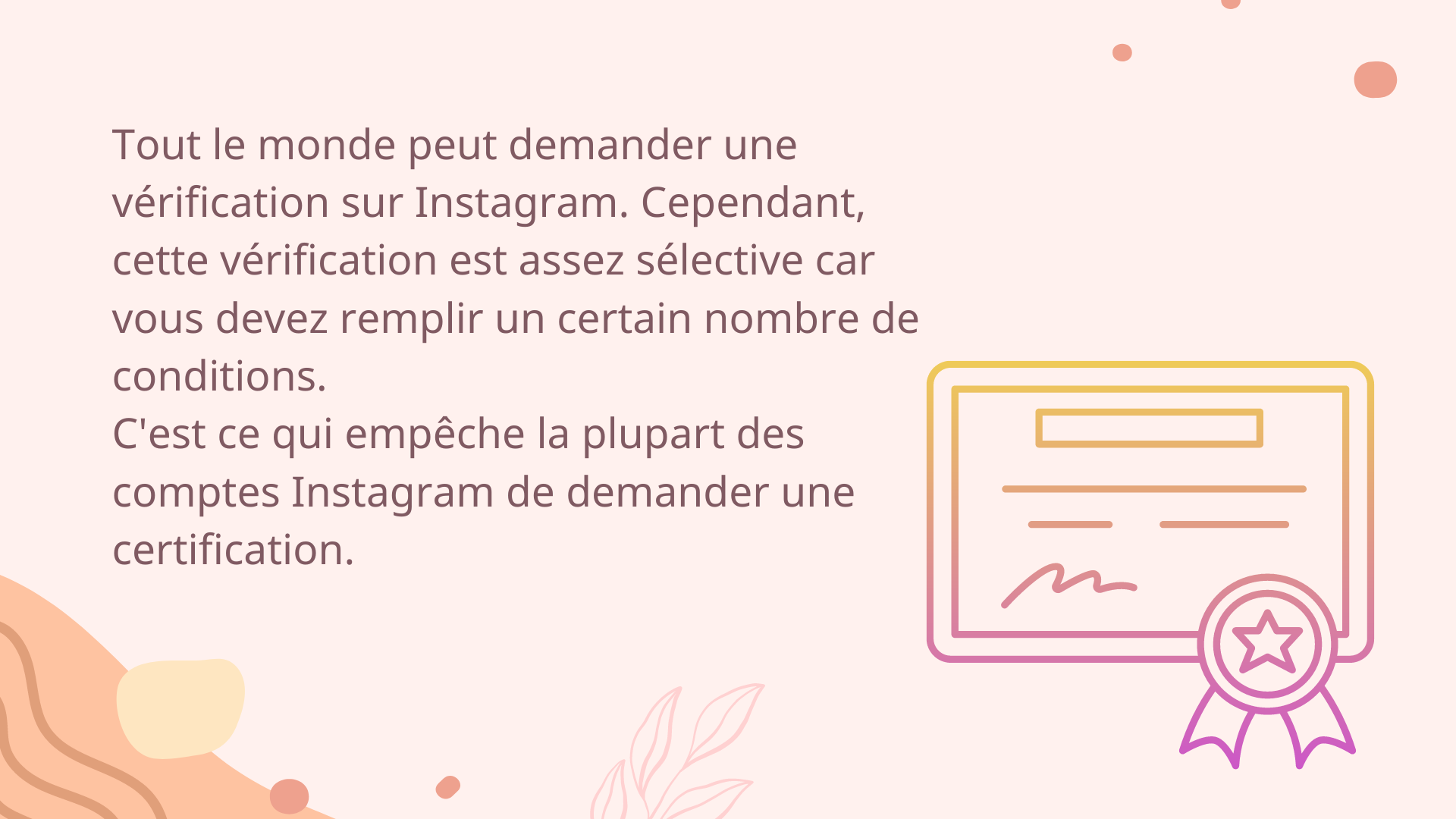 Comment Obtenir la Certification Instagram en 2024 ? Followerest